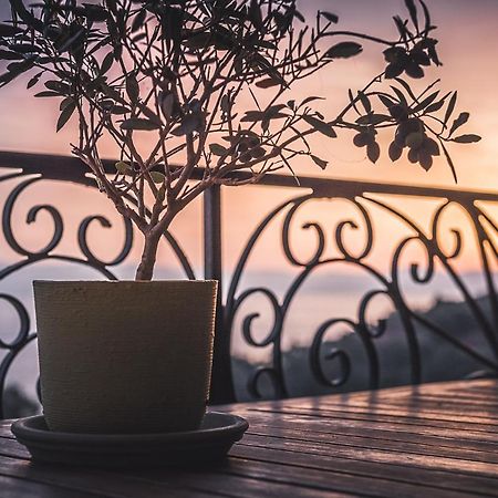 Elaia Boutique Apartments جايوس المظهر الخارجي الصورة